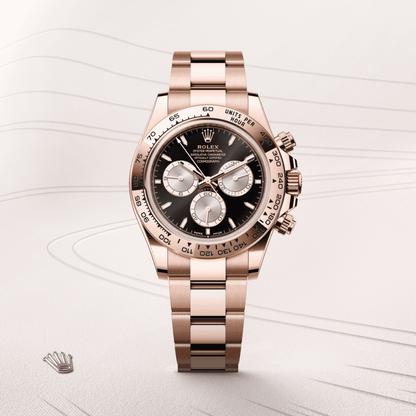 Rolex Daytona Acier &amp; Everose Gold – Black Dial