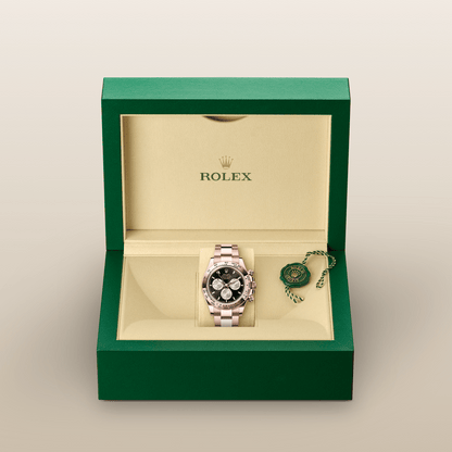 Rolex Daytona Acier &amp; Everose Gold – Black Dial