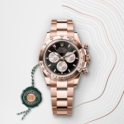 Rolex Daytona Acier &amp; Everose Gold – Black Dial