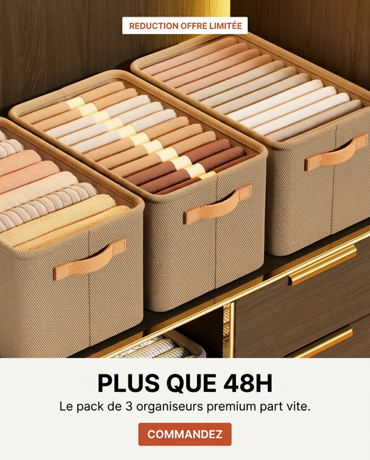LOT DE 3 ORGANISEURS DE RANGEMENT GRAND FORMAT EN TISSU