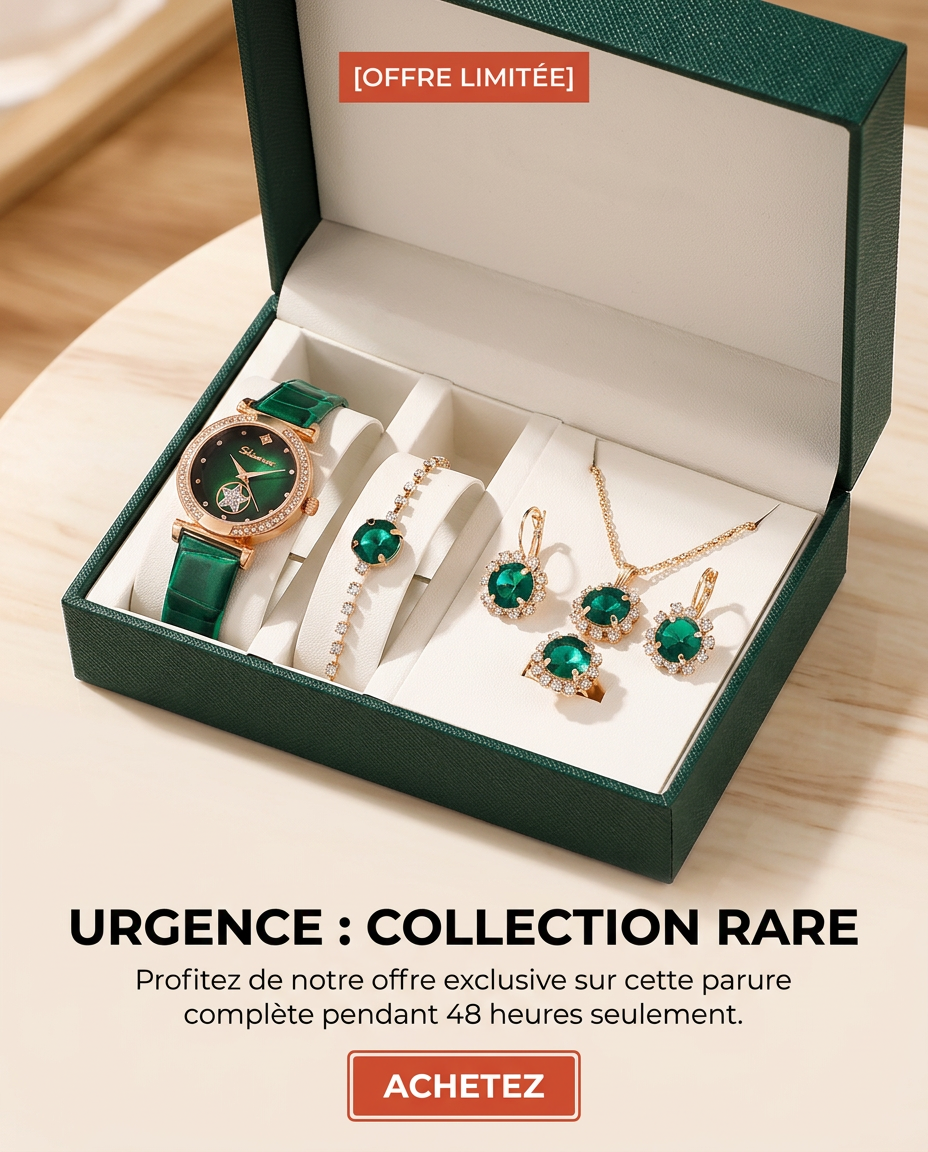 ÉLÉGANCE COMPLÈTE : MONTRE & BIJOUX HAUTE QUALITÉ